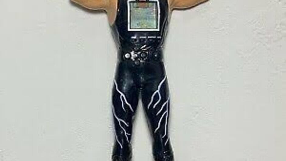 Скриншот 1 из WCW Hollywood Hulk Hogan Power Fighter