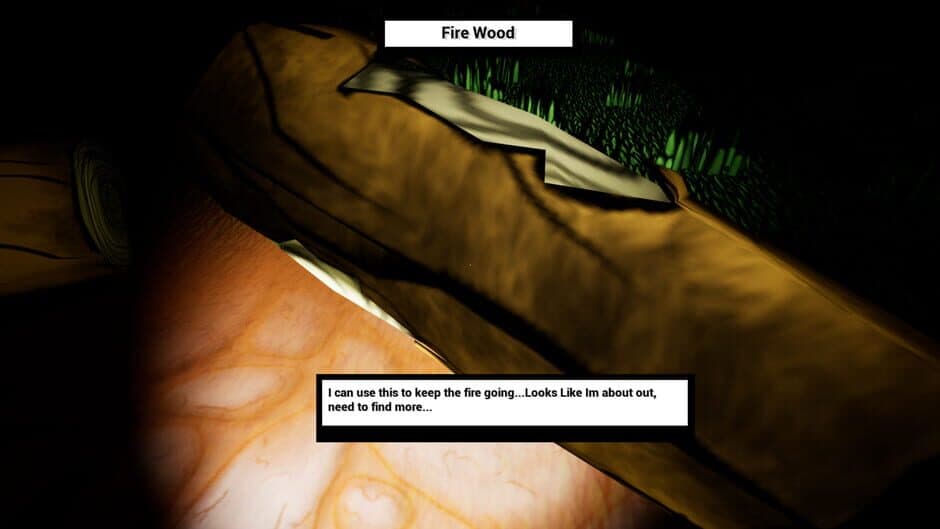 Скриншот 12 из A Lil' Horror Story: The Camp Fire