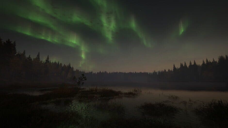 Скриншот 6 из TheHunter: Call of the Wild - Revontuli Coast