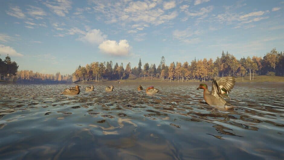Скриншот 12 из TheHunter: Call of the Wild - Revontuli Coast