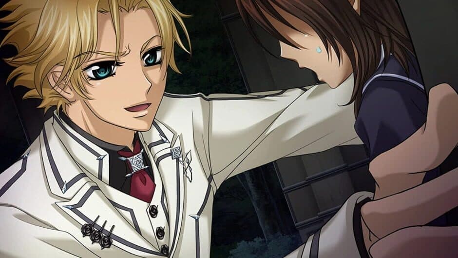 Скриншот 3 из Vampire Knight DS
