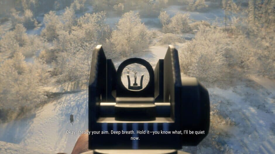 Скриншот 2 из TheHunter: Call of the Wild - Modern Rifle Pack