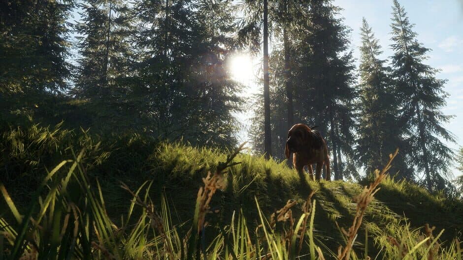 Скриншот 2 из TheHunter: Call of the Wild - Bloodhound