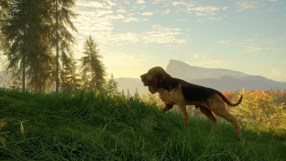 Скриншот 4 из TheHunter: Call of the Wild - Bloodhound
