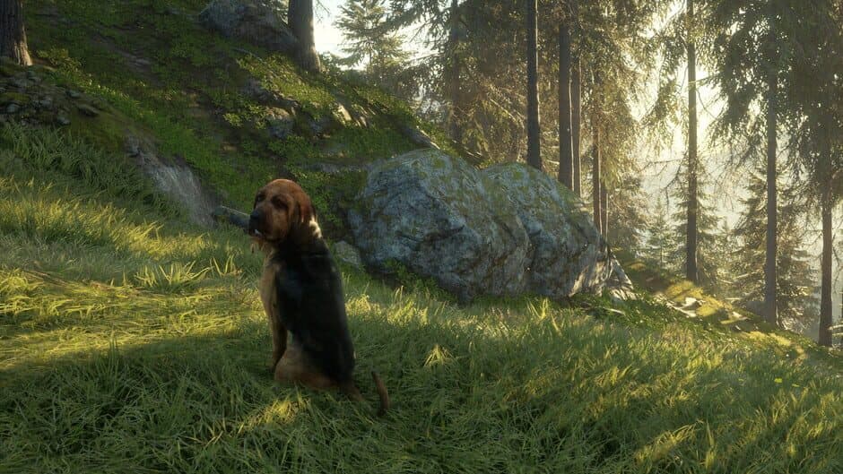 Скриншот 5 из TheHunter: Call of the Wild - Bloodhound