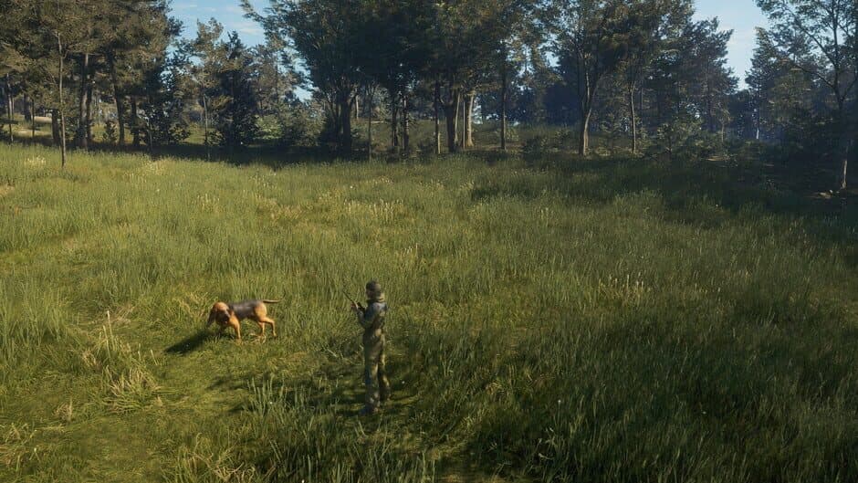 Скриншот 7 из TheHunter: Call of the Wild - Bloodhound