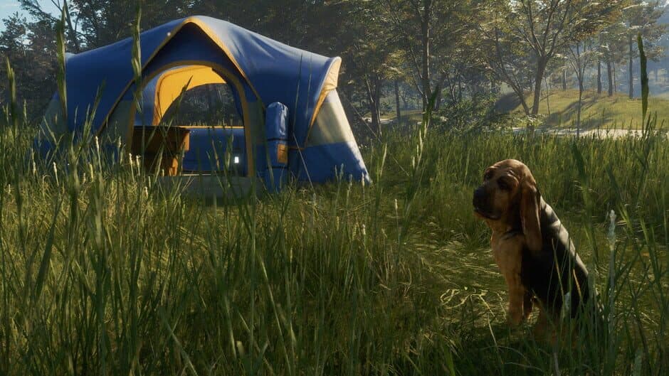Скриншот 8 из TheHunter: Call of the Wild - Bloodhound