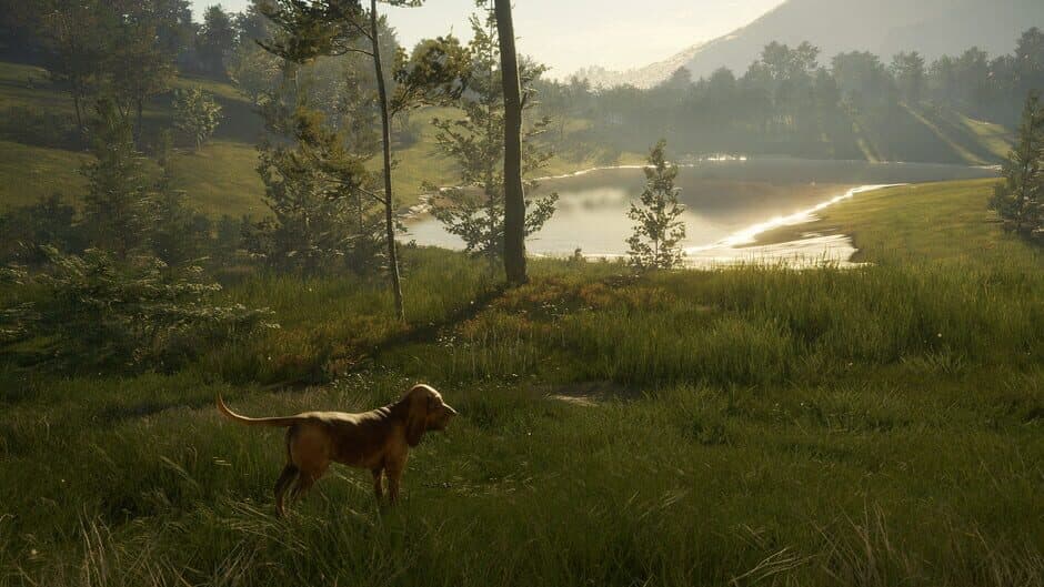 Скриншот 9 из TheHunter: Call of the Wild - Bloodhound