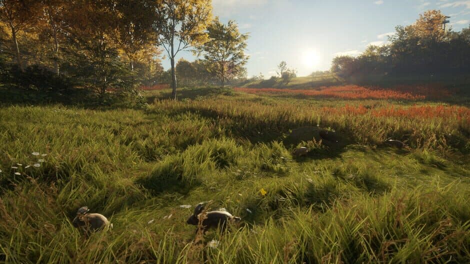 Скриншот 3 из TheHunter: Call of the Wild - Free Species: European Rabbit