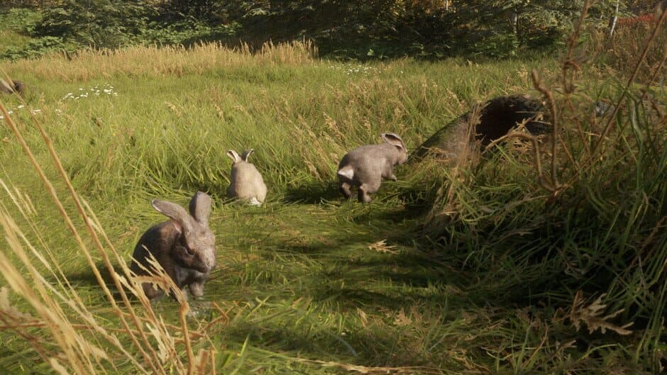 Скриншот 1 из TheHunter: Call of the Wild - Free Species: European Rabbit