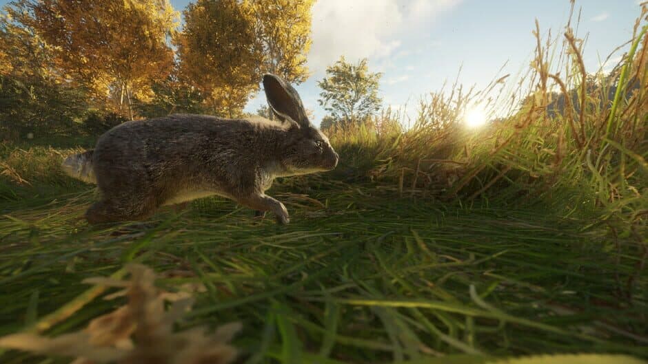 Скриншот 2 из TheHunter: Call of the Wild - Free Species: European Rabbit