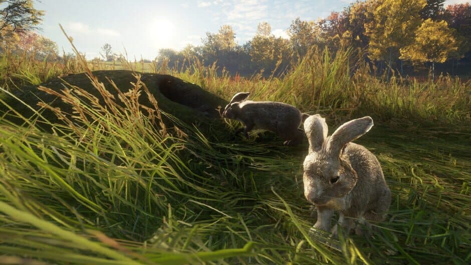 Скриншот 4 из TheHunter: Call of the Wild - Free Species: European Rabbit
