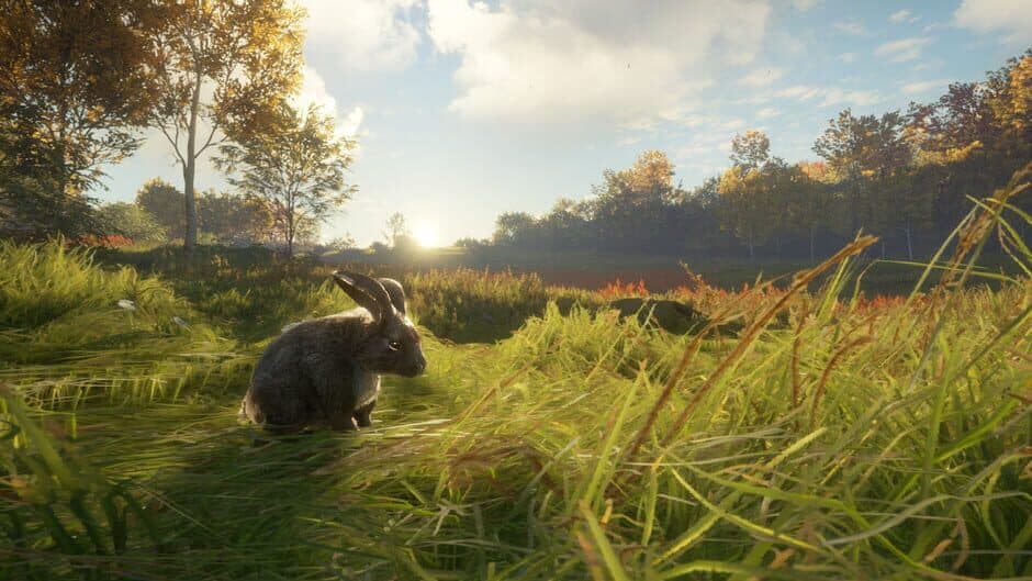 Скриншот 5 из TheHunter: Call of the Wild - Free Species: European Rabbit