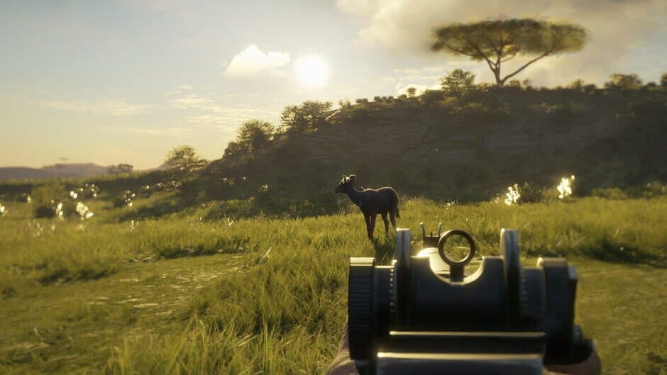 Скриншот 1 из TheHunter: Call of the Wild - Smoking Barrels Weapon Pack