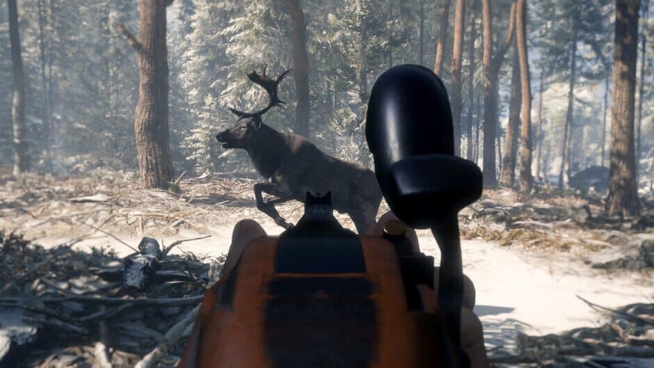 Скриншот 3 из TheHunter: Call of the Wild - Smoking Barrels Weapon Pack