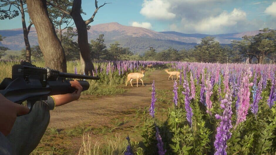 Скриншот 5 из TheHunter: Call of the Wild - Weapon Pack 3