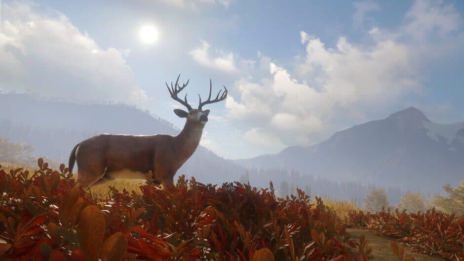 Скриншот 2 из TheHunter: Call of the Wild - TruRACS
