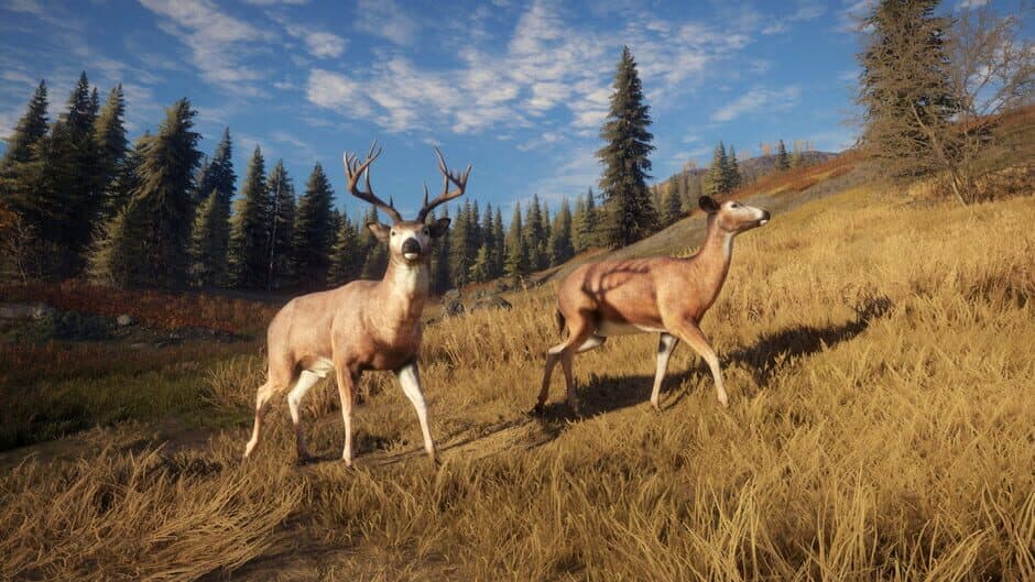 Скриншот 1 из TheHunter: Call of the Wild - TruRACS