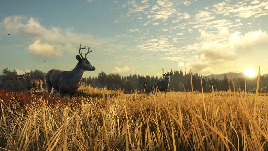Скриншот 4 из TheHunter: Call of the Wild - TruRACS