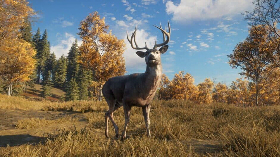 Скриншот 5 из TheHunter: Call of the Wild - TruRACS