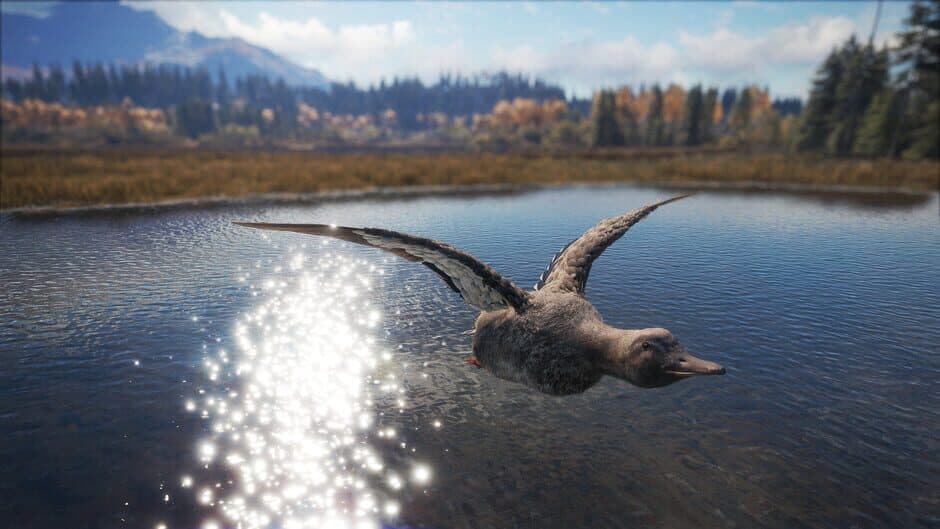 Скриншот 8 из TheHunter: Call of the Wild - Duck and Cover Pack