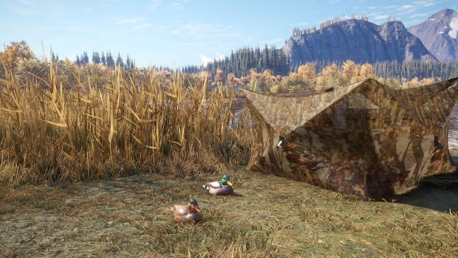 Скриншот 4 из TheHunter: Call of the Wild - Duck and Cover Pack