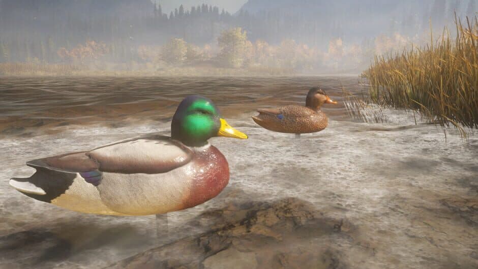 Скриншот 6 из TheHunter: Call of the Wild - Duck and Cover Pack