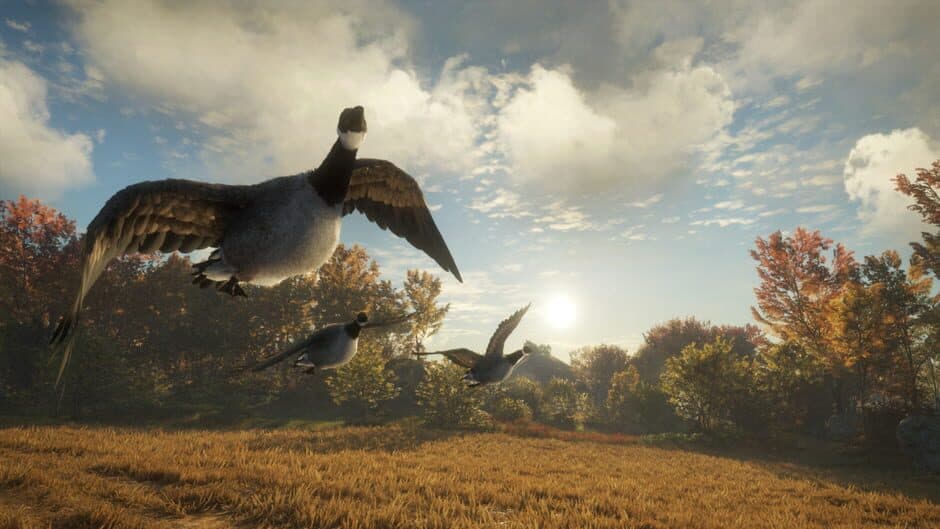 Скриншот 1 из TheHunter: Call of the Wild - Wild Goose Chase Gear