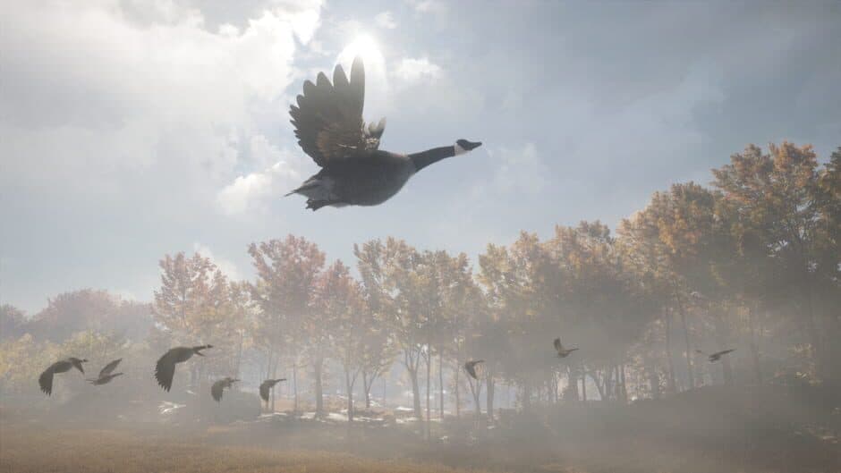 Скриншот 12 из TheHunter: Call of the Wild - Wild Goose Chase Gear