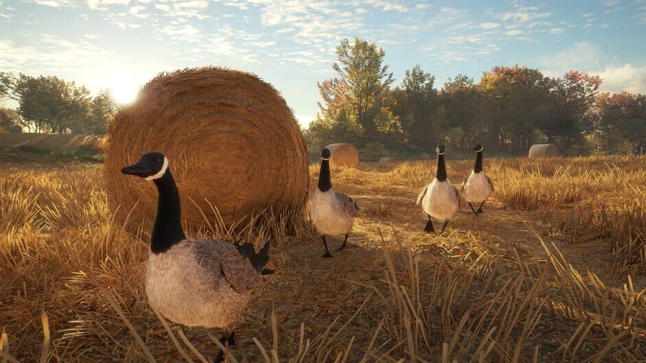 Скриншот 4 из TheHunter: Call of the Wild - Wild Goose Chase Gear