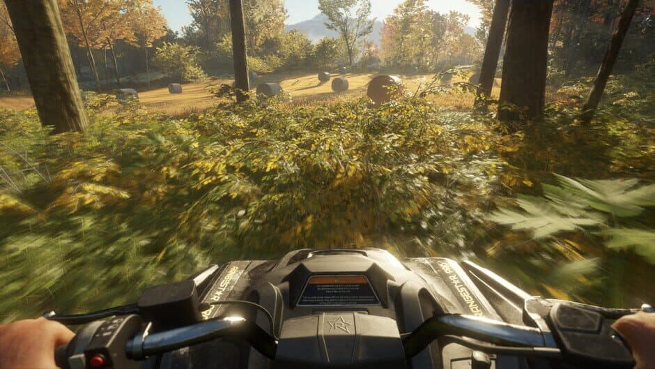 Скриншот 1 из TheHunter: Call of the Wild - ATV Saber 4X4