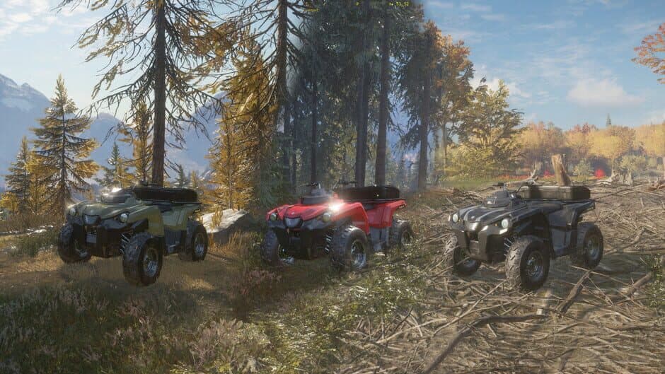 Скриншот 4 из TheHunter: Call of the Wild - ATV Saber 4X4