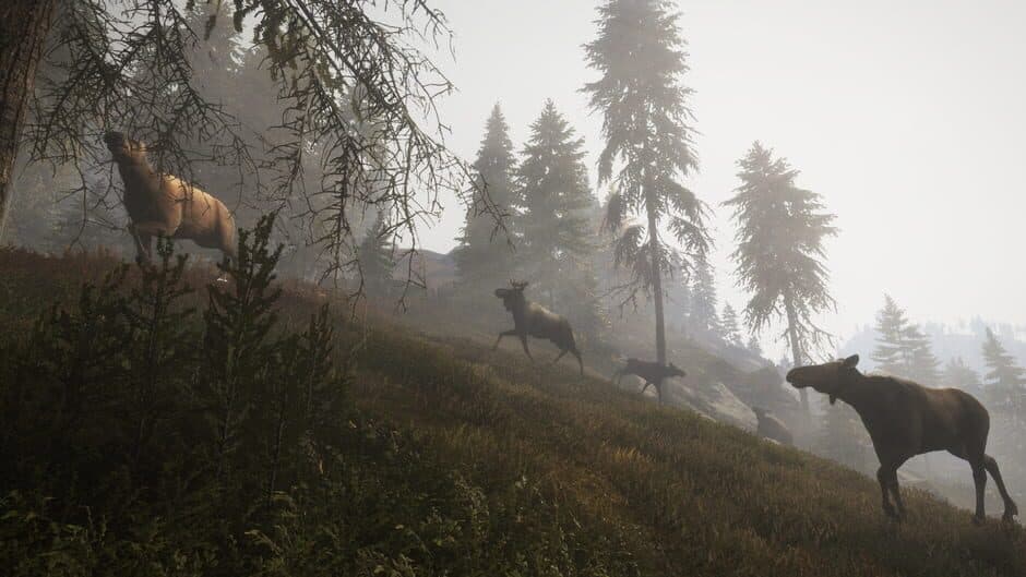 Скриншот 4 из TheHunter: Call of the Wild - Facing the Wild 1