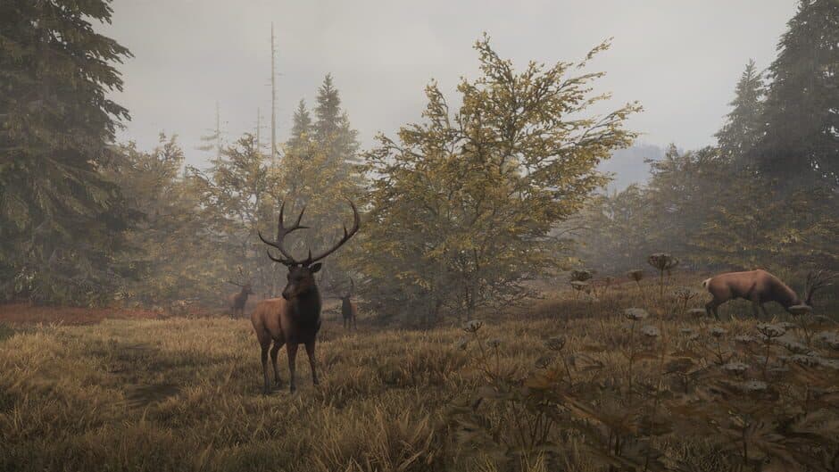Скриншот 1 из TheHunter: Call of the Wild - Facing the Wild 1