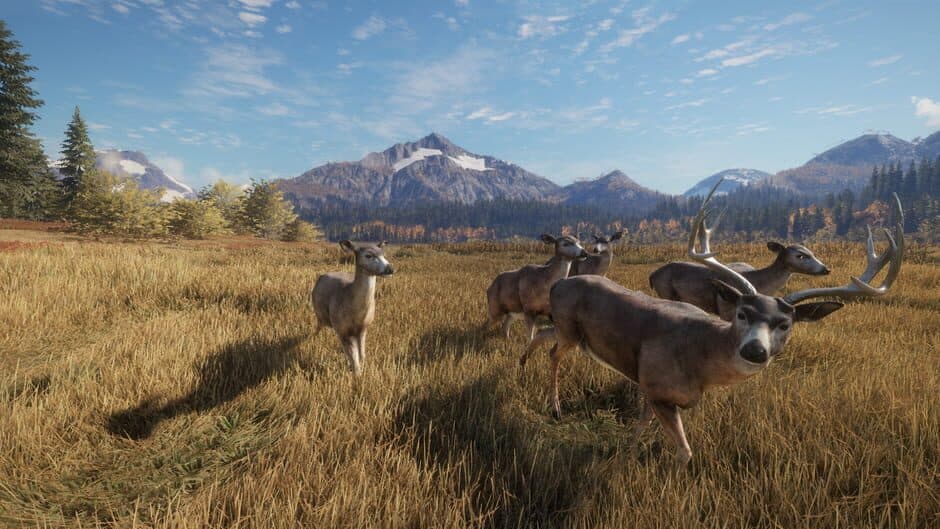 Скриншот 6 из TheHunter: Call of the Wild - Facing the Wild 1