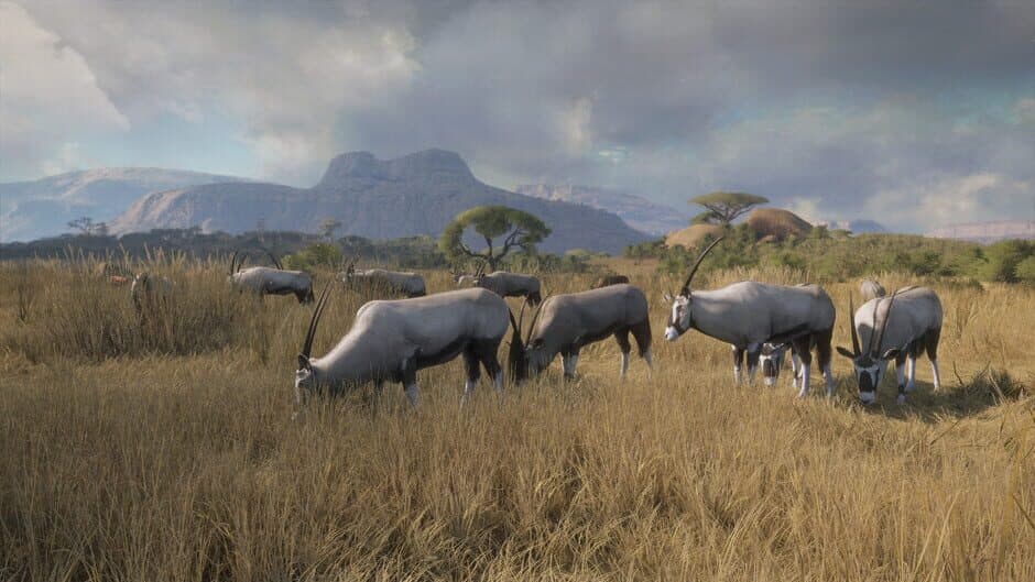Скриншот 1 из TheHunter: Call of the Wild - New Species 2018