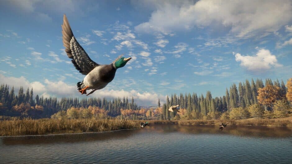 Скриншот 2 из TheHunter: Call of the Wild - New Species 2018