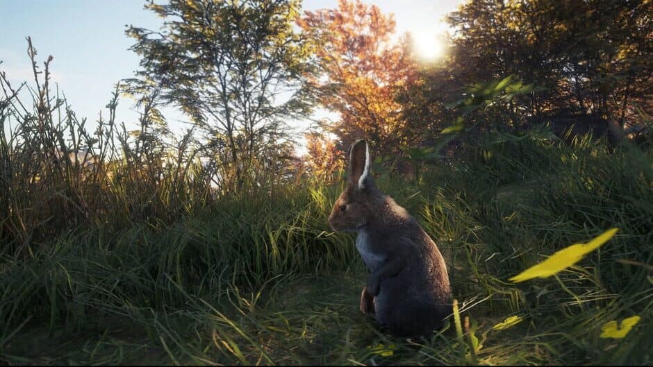 Скриншот 4 из TheHunter: Call of the Wild - New Species 2018