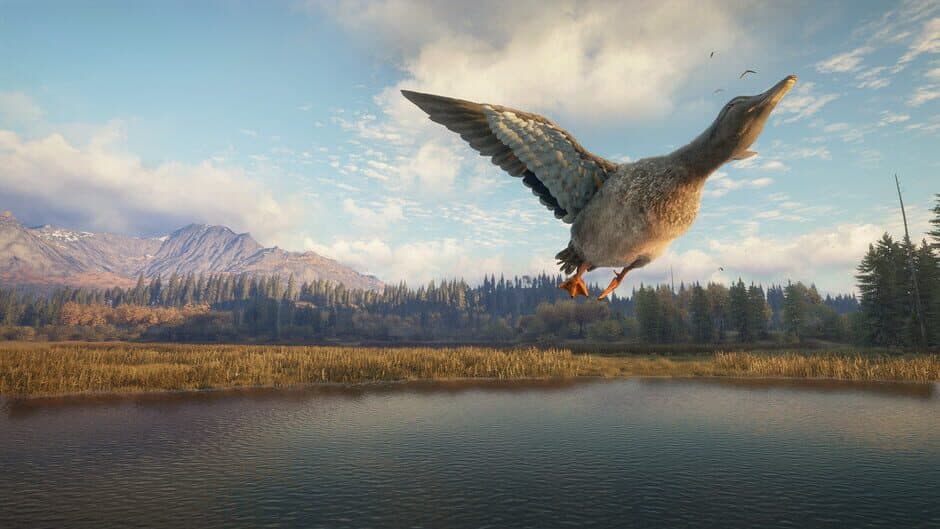 Скриншот 5 из TheHunter: Call of the Wild - New Species 2018