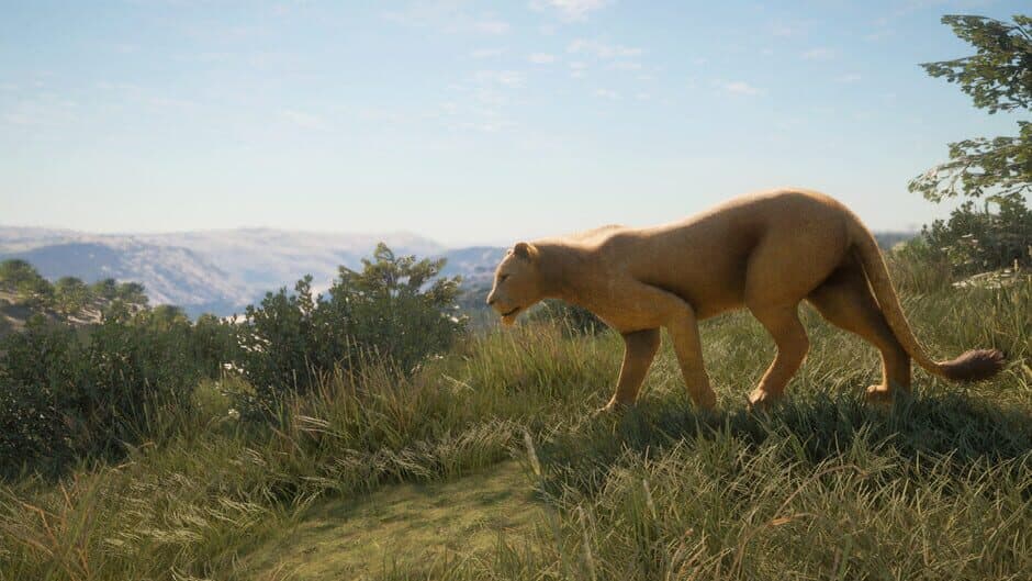 Скриншот 3 из TheHunter: Call of the Wild - New Species 2019