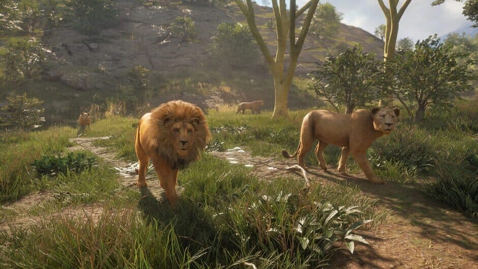 Скриншот 5 из TheHunter: Call of the Wild - New Species 2019