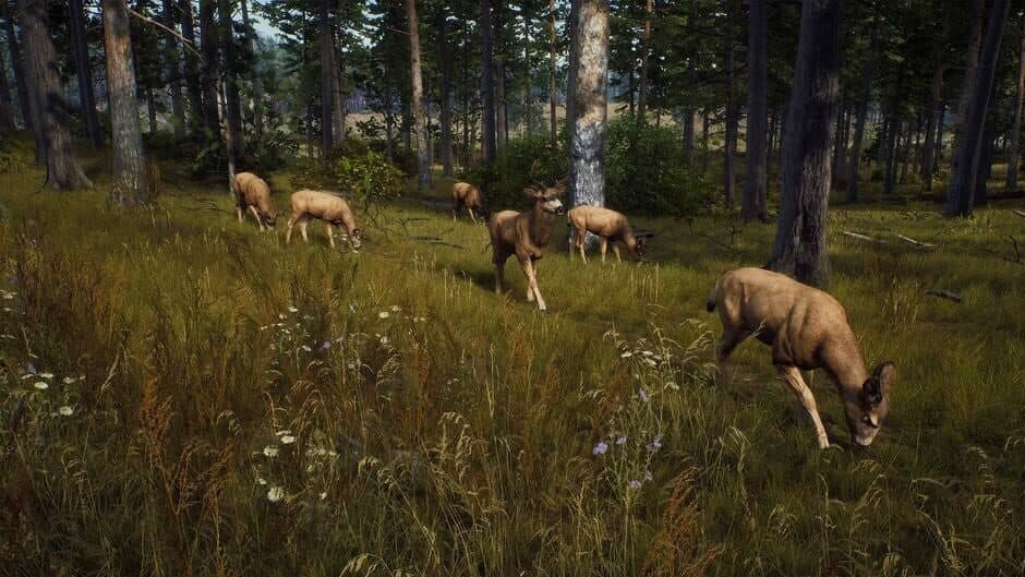 Скриншот 10 из Way of the Hunter: Elite Edition