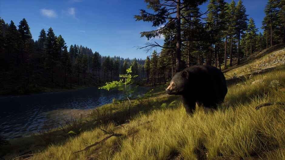 Скриншот 2 из Way of the Hunter: Elite Edition