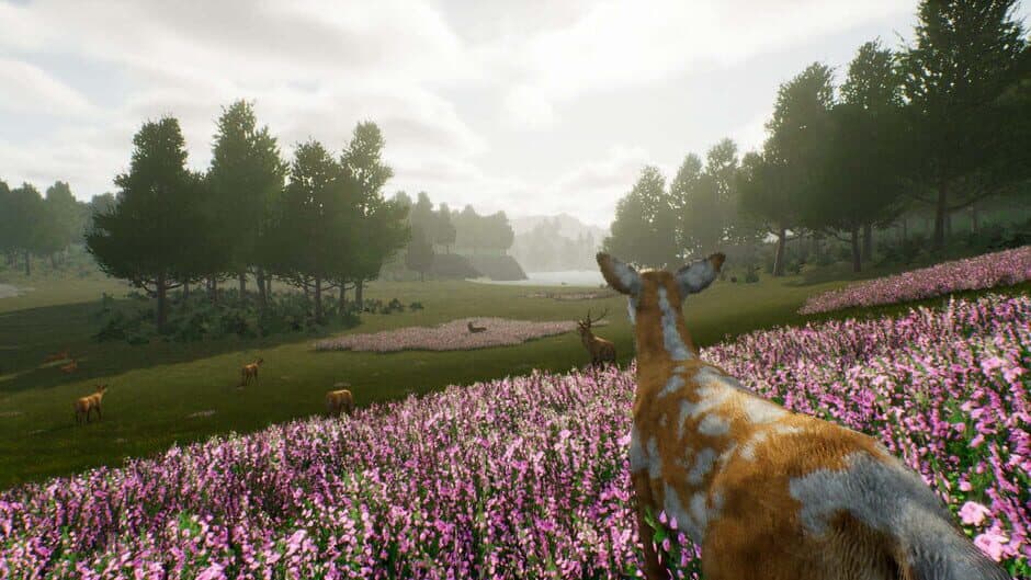 Скриншот 4 из Deer Journey