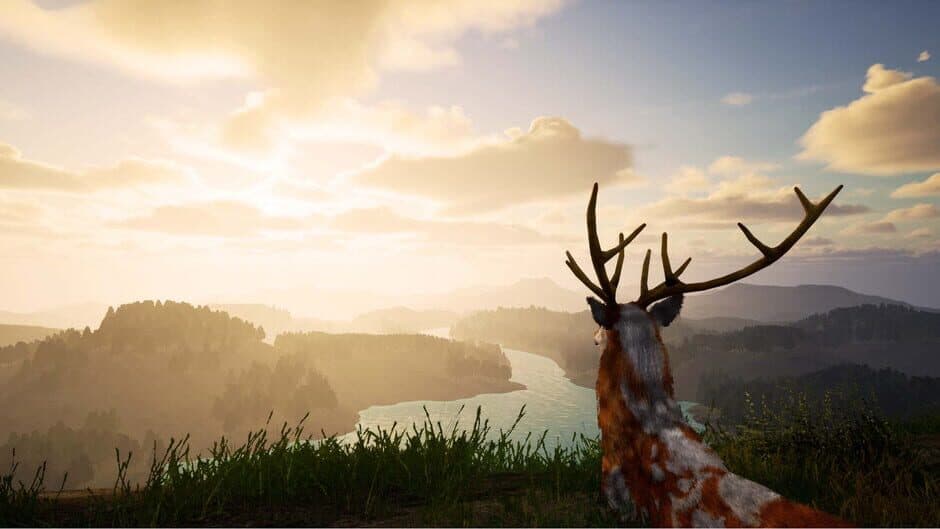 Скриншот 1 из Deer Journey