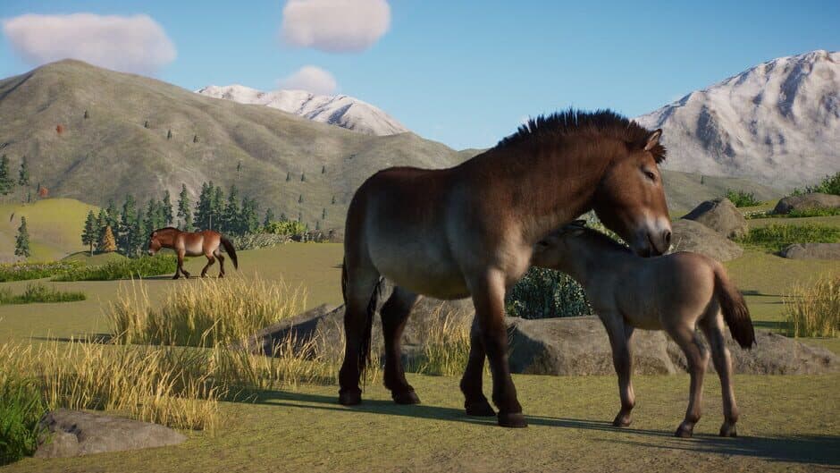 Скриншот 4 из Planet Zoo: Conservation Pack