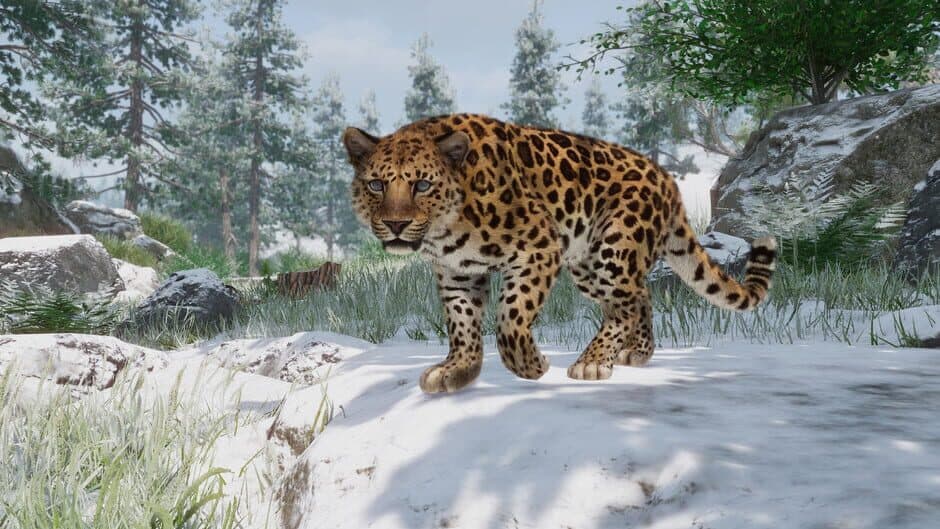 Скриншот 8 из Planet Zoo: Conservation Pack