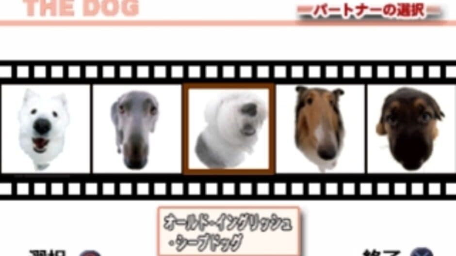 Скриншот 2 из The Dog Master