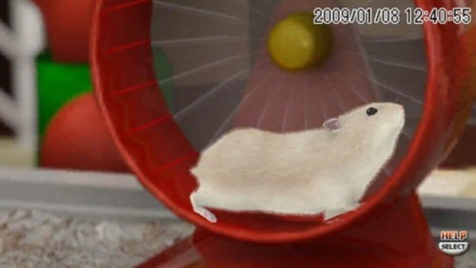 Скриншот 3 из Petz Hamsterz Bunch