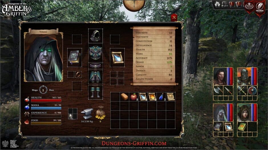 Скриншот 6 из Dungeons of the Amber Griffin